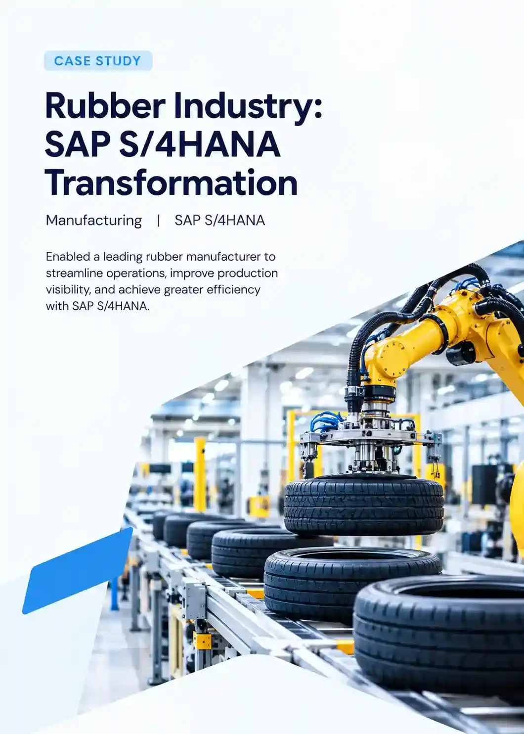 Rubber Industry SAP S/4HANA Transformation Case Study - Mesprosoft