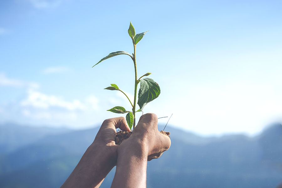 SAP Partner holding a plate for growth